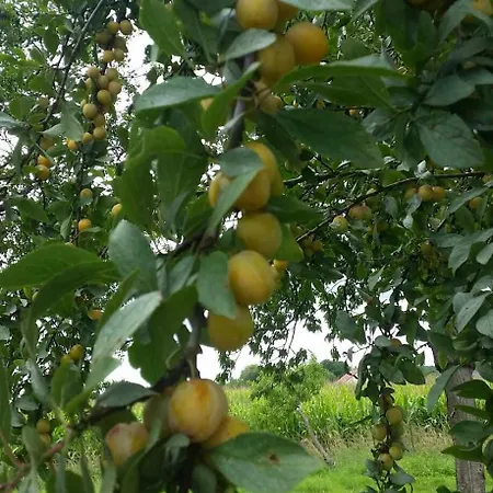 La Martellerie Prázdninový dům *